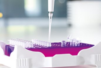 PCR Plate